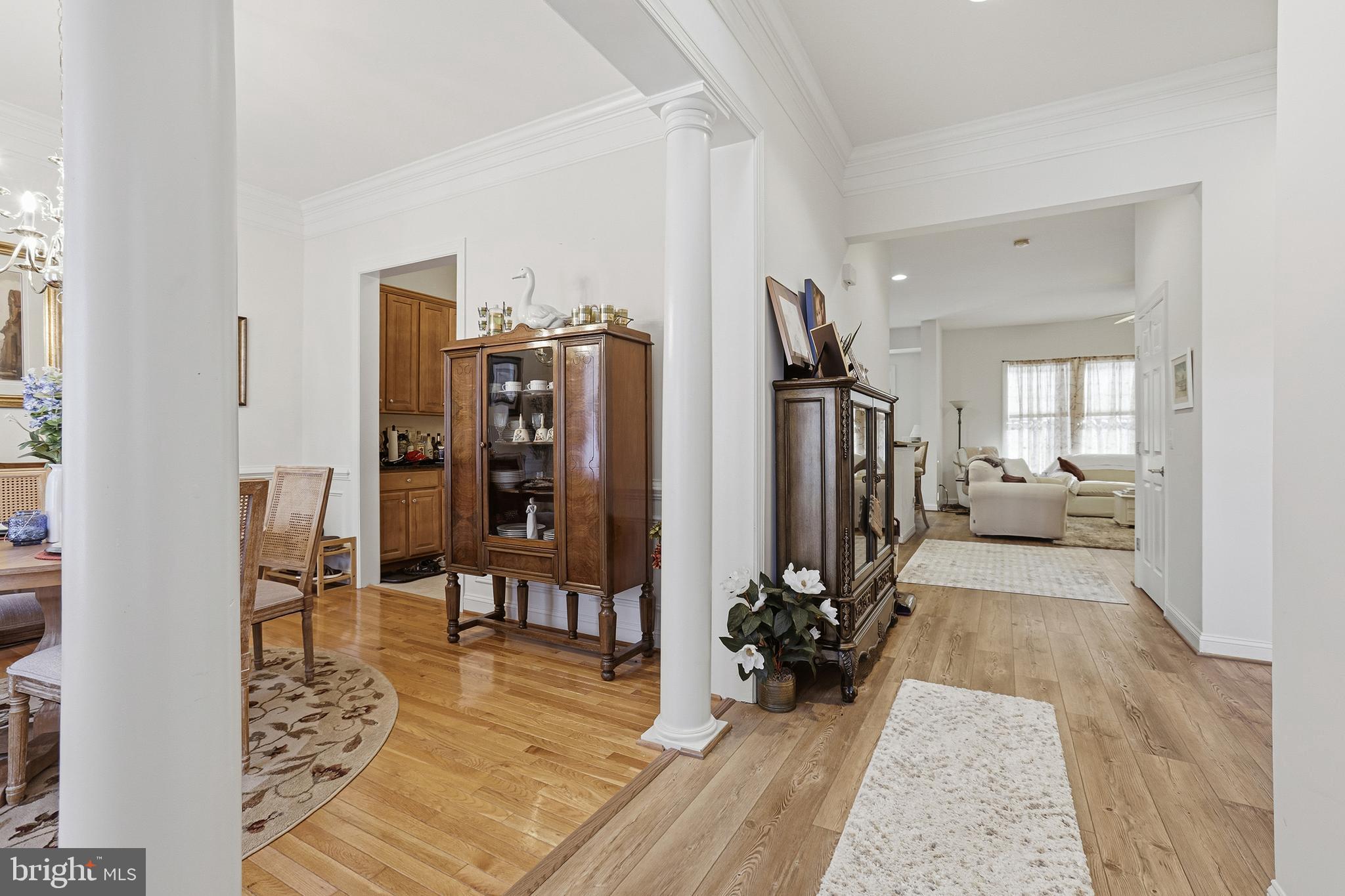 BRANSON COVE - Residential