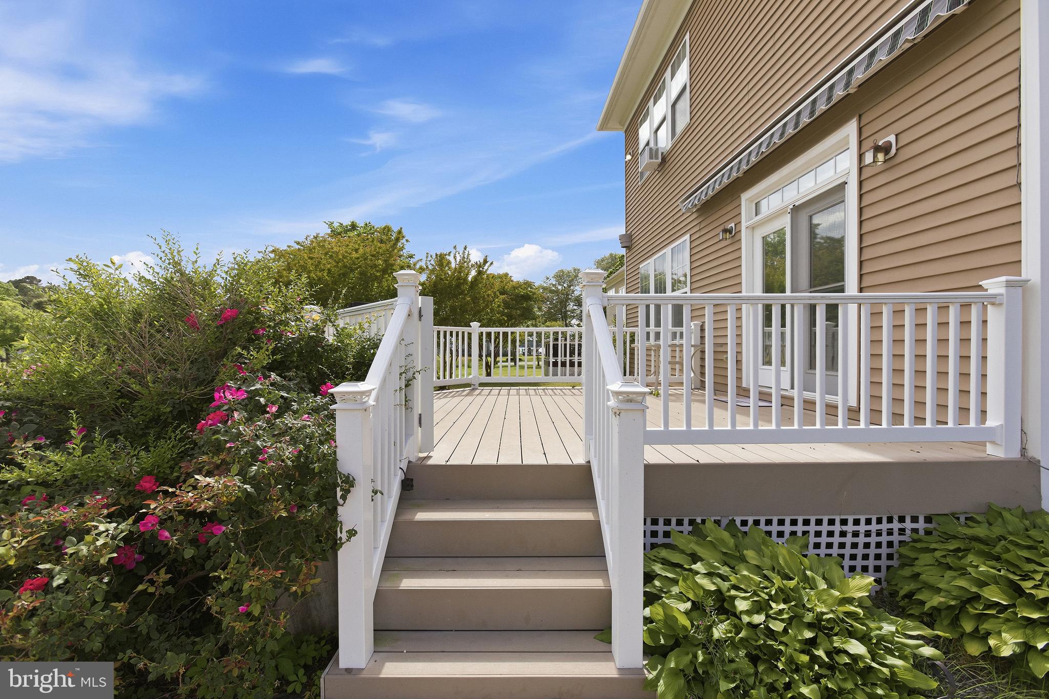 BRANSON COVE - Residential
