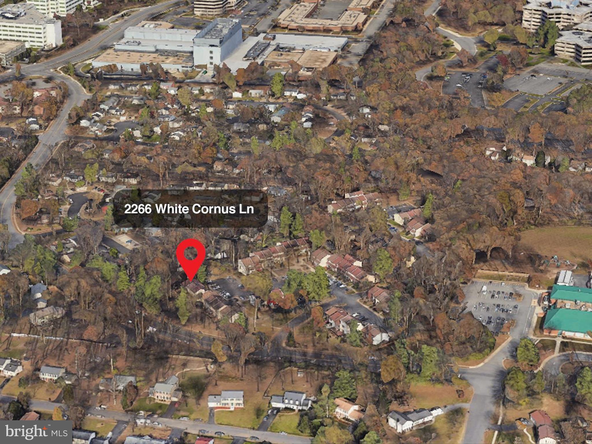 2266 WHITE CORNUS LANE
