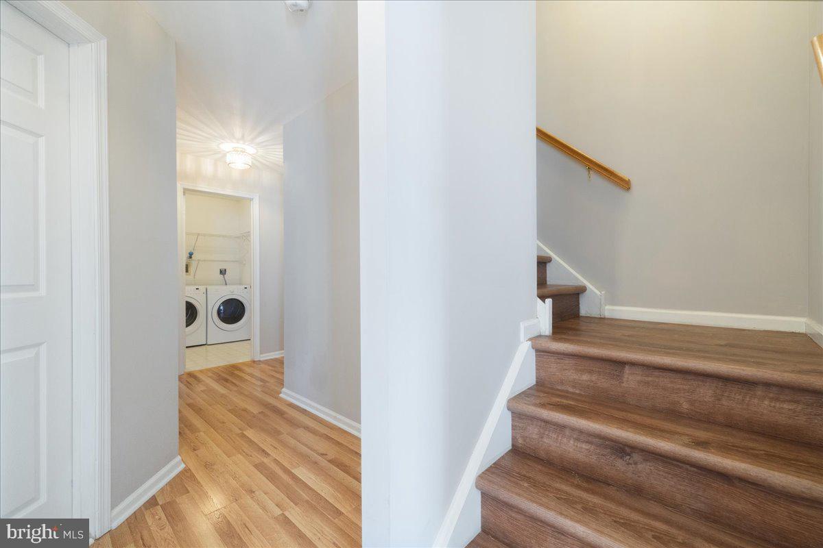 SPRUCE MILL - Residential Lease