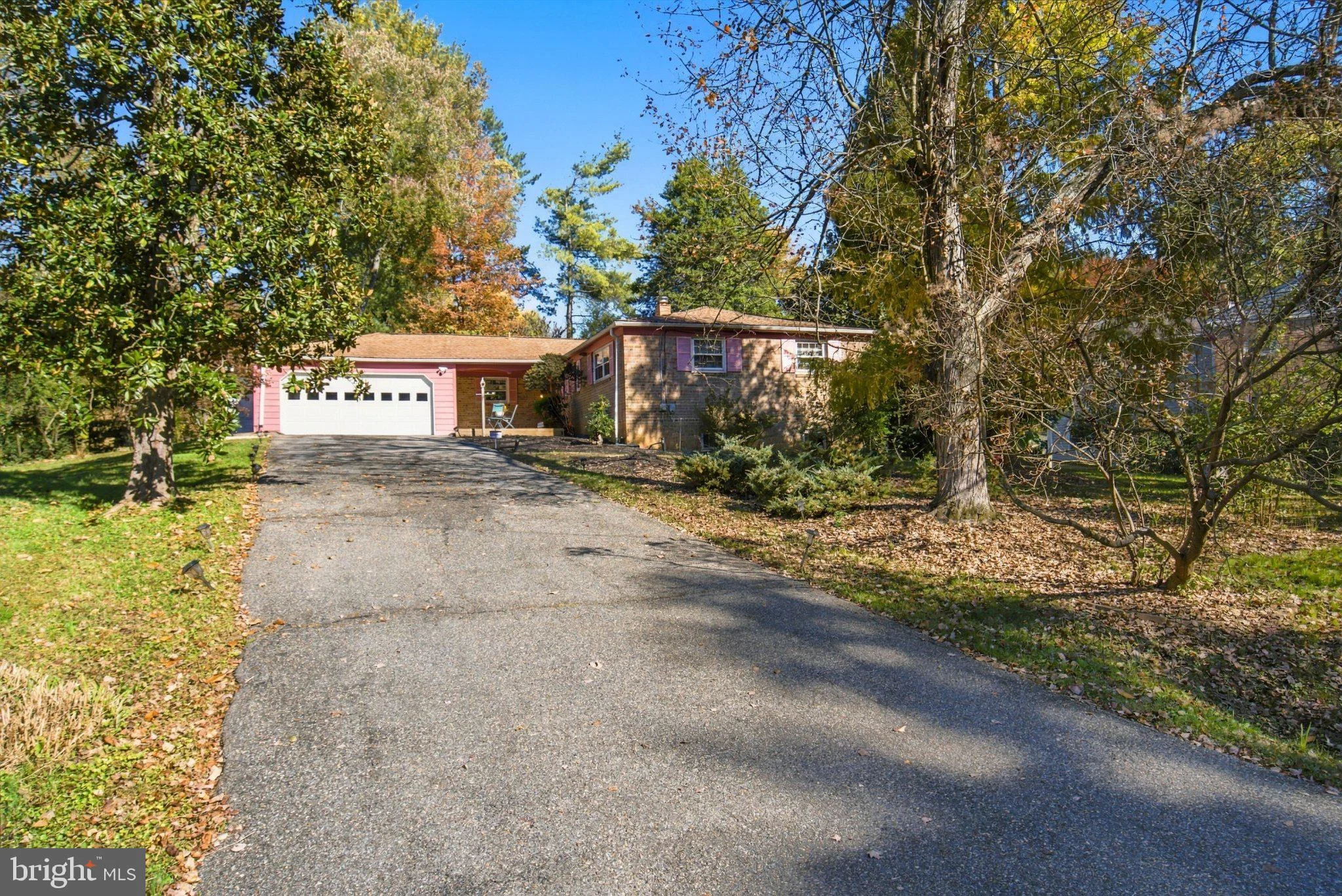 12803 Theresa Drive