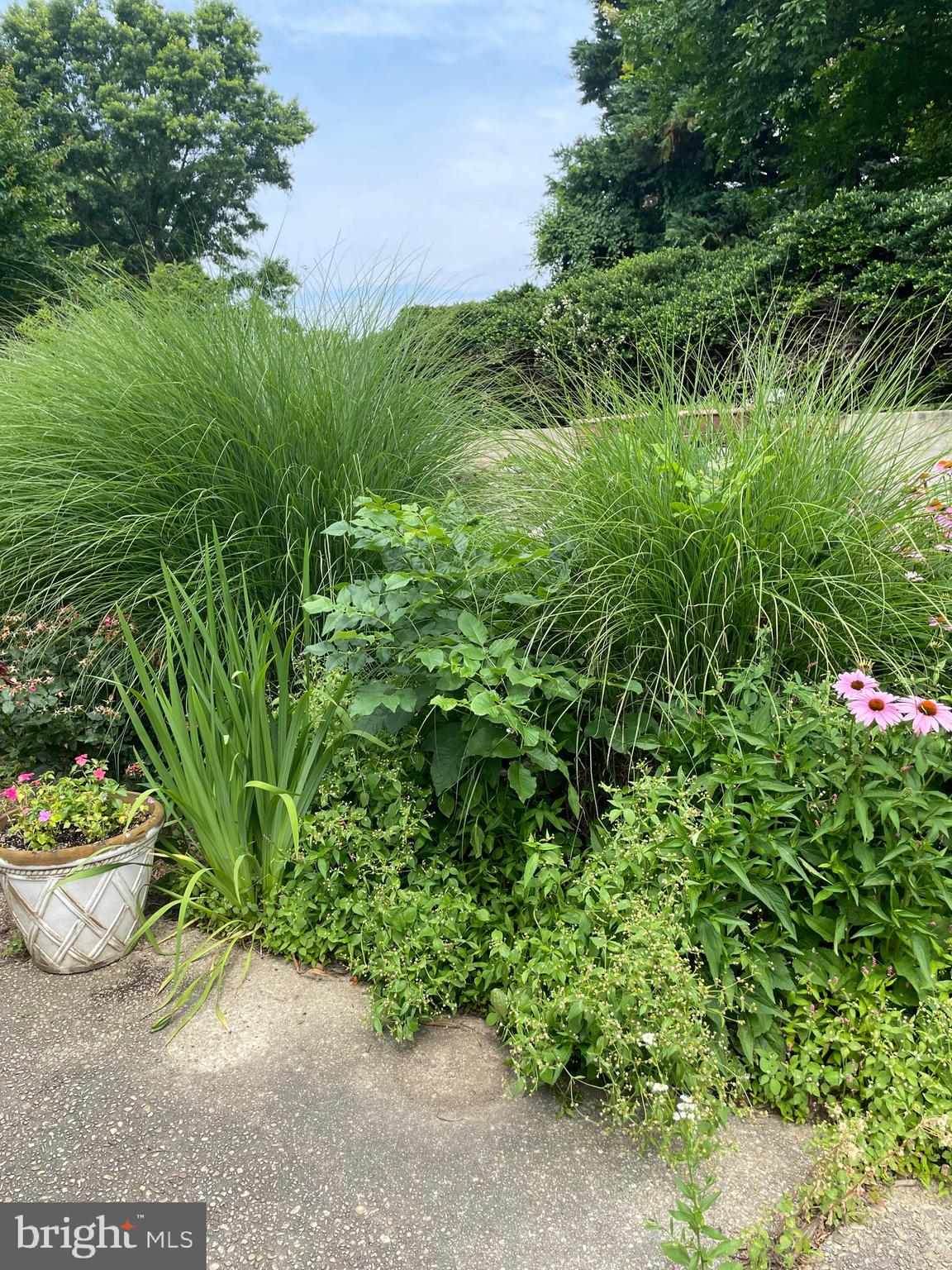 DAVIDSONVILLE - Residential