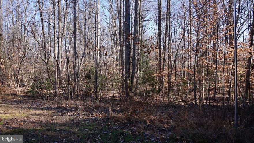 Fantastic building lot in North Stafford.  Nice level lot with access and 3 bedroom conventional perc.
You must take a look at this property it's perfect and affordable.  For sale by Owner/Agent.