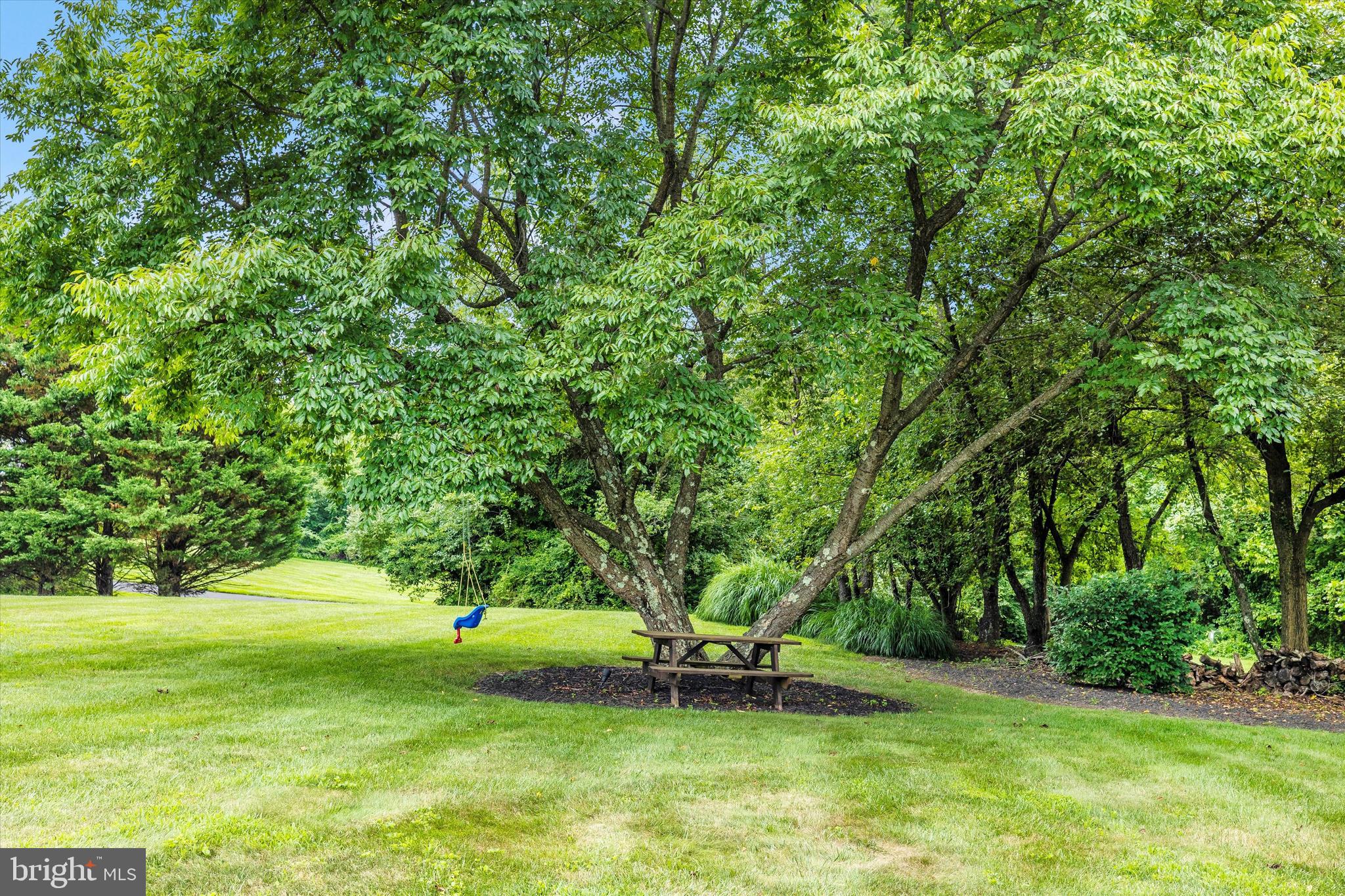 SENECA SPRINGS - Residential