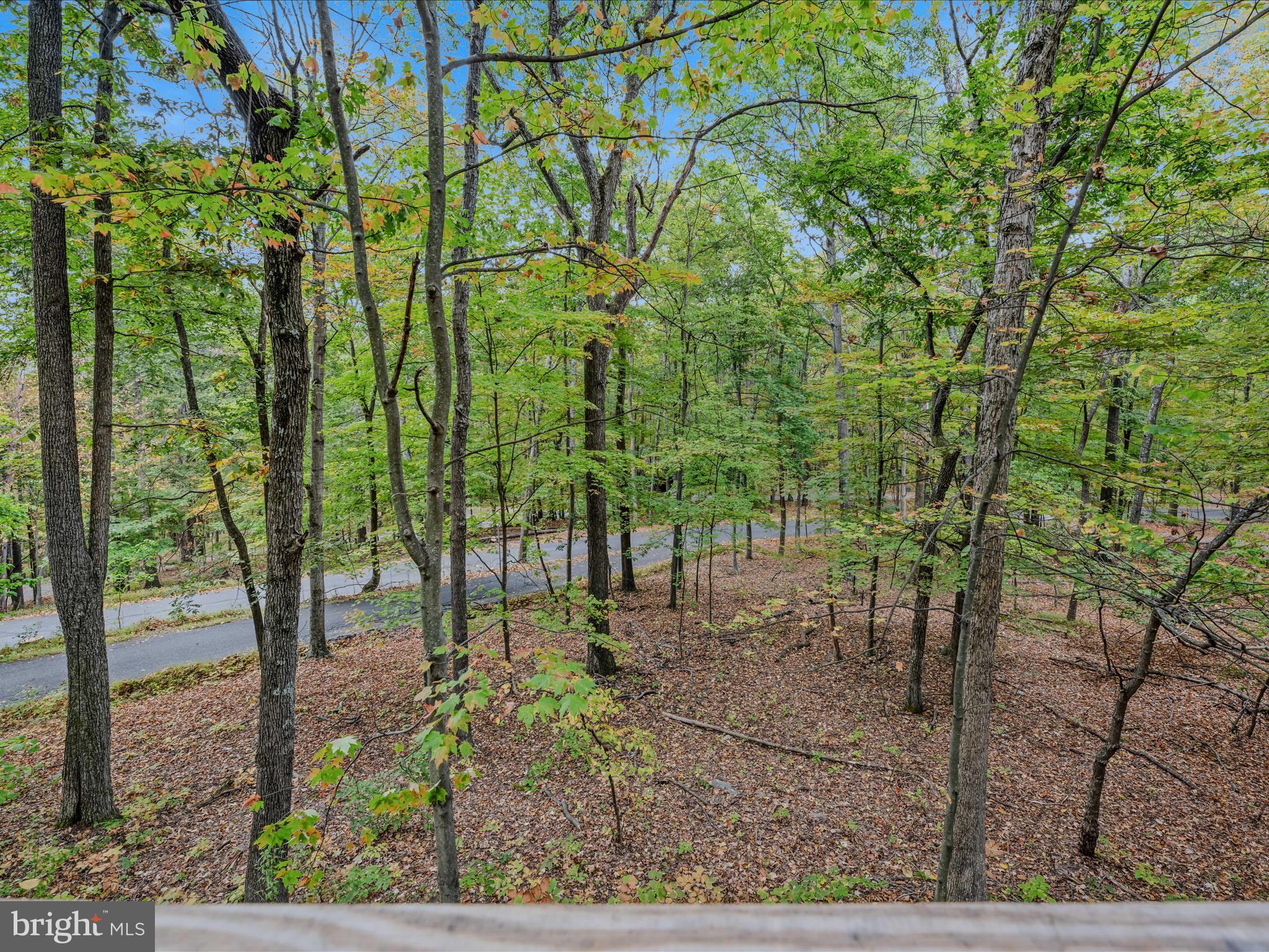 COOLFONT MOUNTAINSIDE - Residential