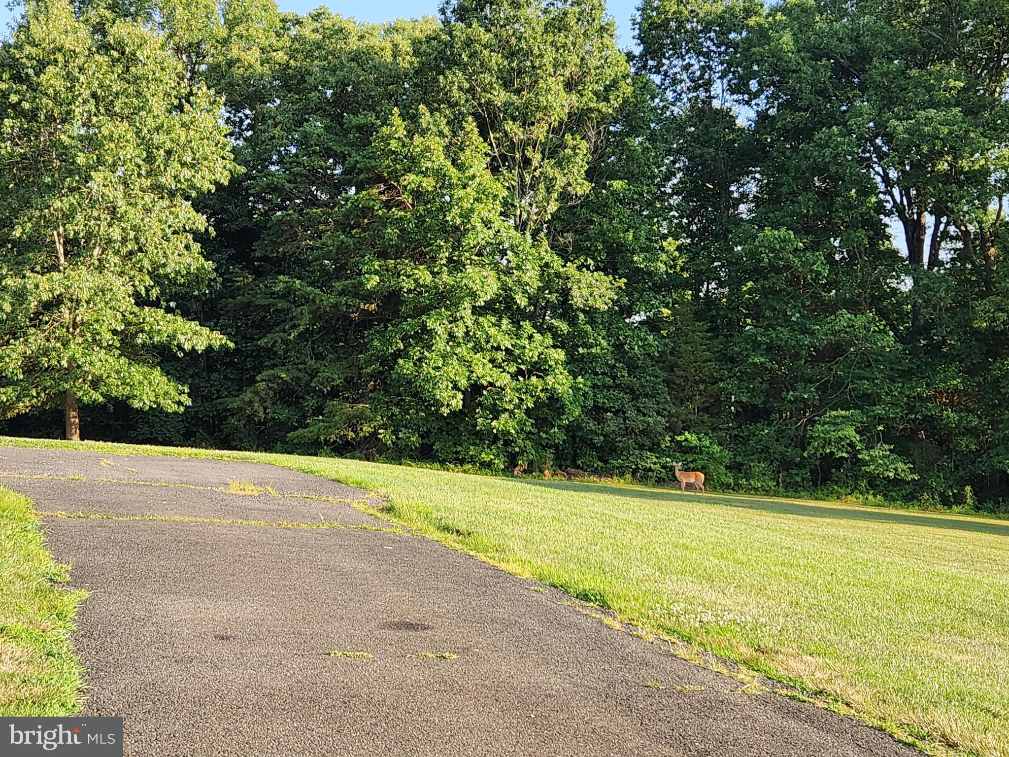 METES & BOUNDS - Residential Lease