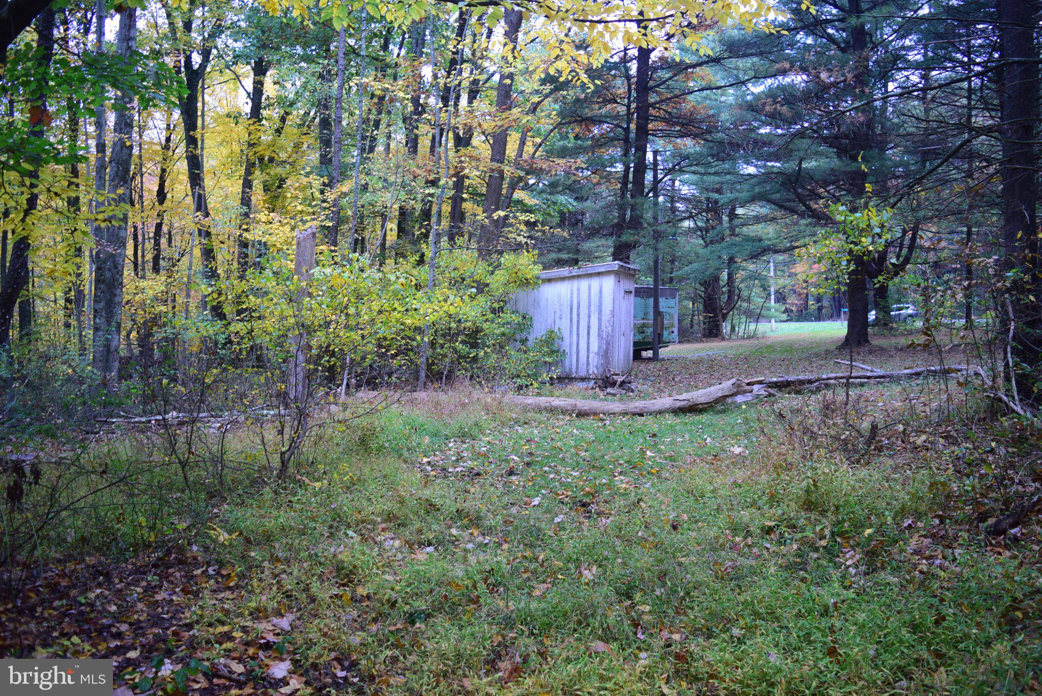 636 SNOW SHOE MOUNTAIN ROAD