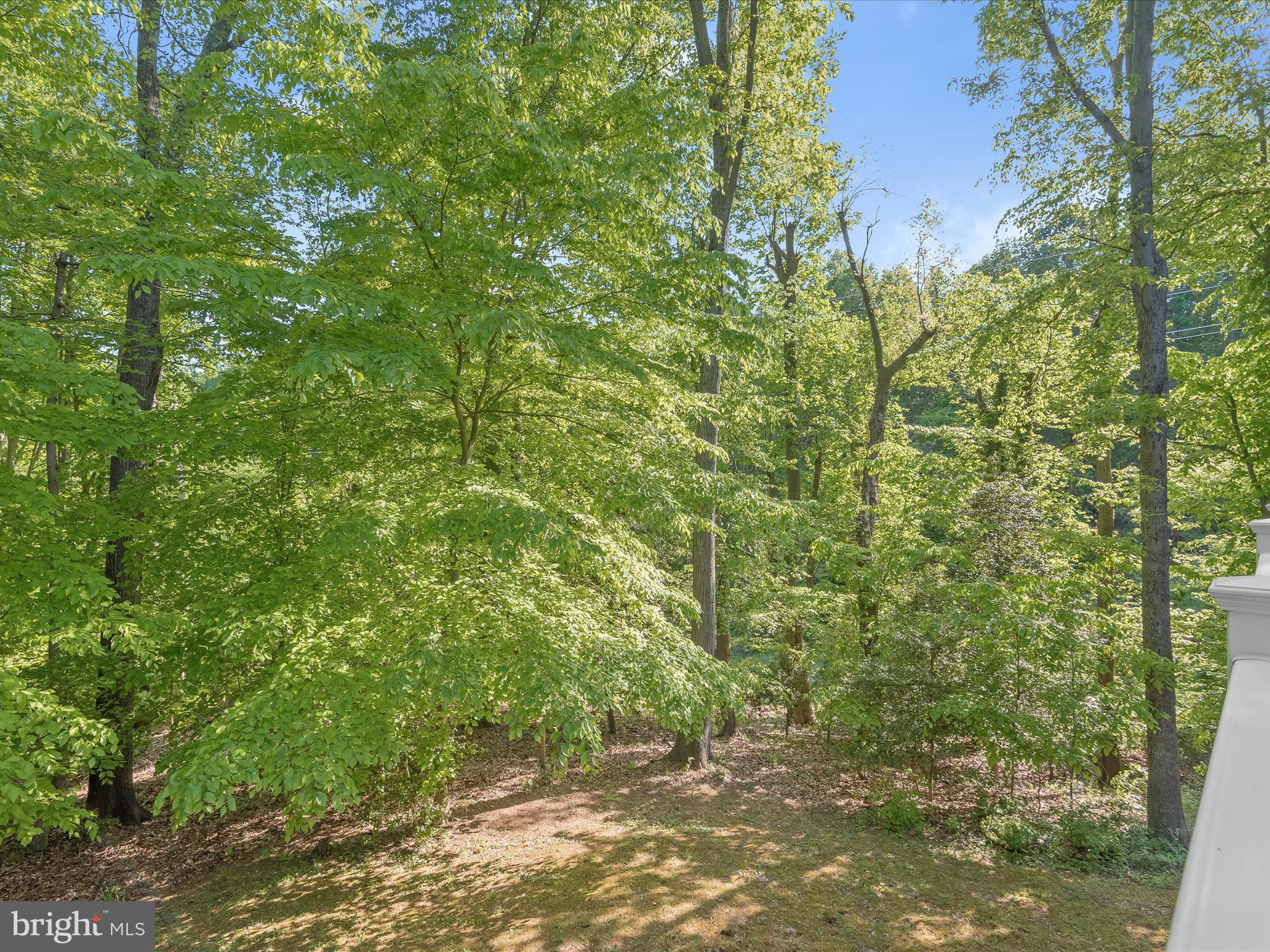 CARRIAGE HILLS - Residential