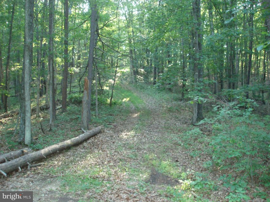 15.56 Mostly wooded acres just 1.2 miles off 522 but privately located in small subdivision featuring lots with large acreage.  Land is level to sloping, underground utilities and driveway installed. Restrictions but livestock is allowed!  Less than 1.5 Miles from Cacapon State Park.