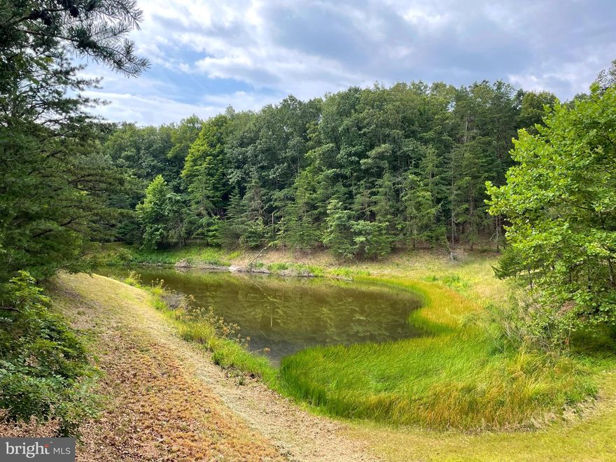 If peace and solitude are what you are looking for you have found it! Welcome to Coon Hollow a quiet community subdivision, offering privacy but still only 20 minutes to local restaurants, grocery stores, and schools.  This 5.43 acre lot is ready to build your dream oasis in the woods! With a driveway cut in, build site with a beautiful view of the pond. Not ready to build stay in camper and get ready to look up at the stars off the deck.  With minimal restrictions the possibilities are endless. Offering  a nice community area for large gatherings! Come enjoy that fresh West Virginia mountain air!  Buy now and be ready for this upcoming hunting season!