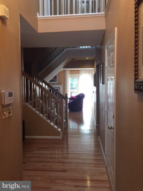 GREENE TREE - Residential