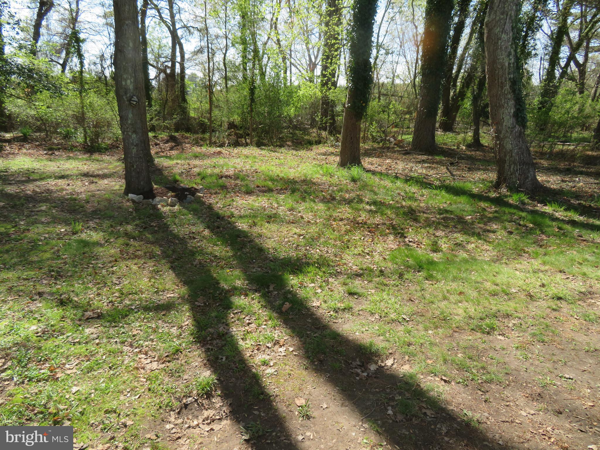 WHITE HORSE PARK II - Residential