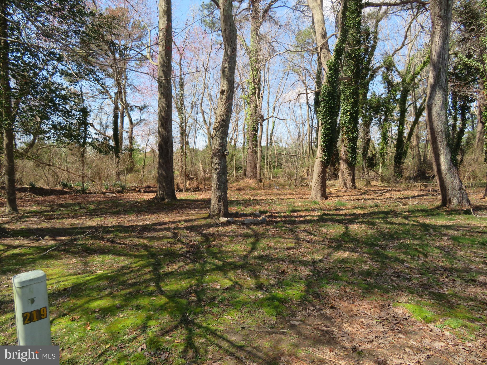 WHITE HORSE PARK II - Residential