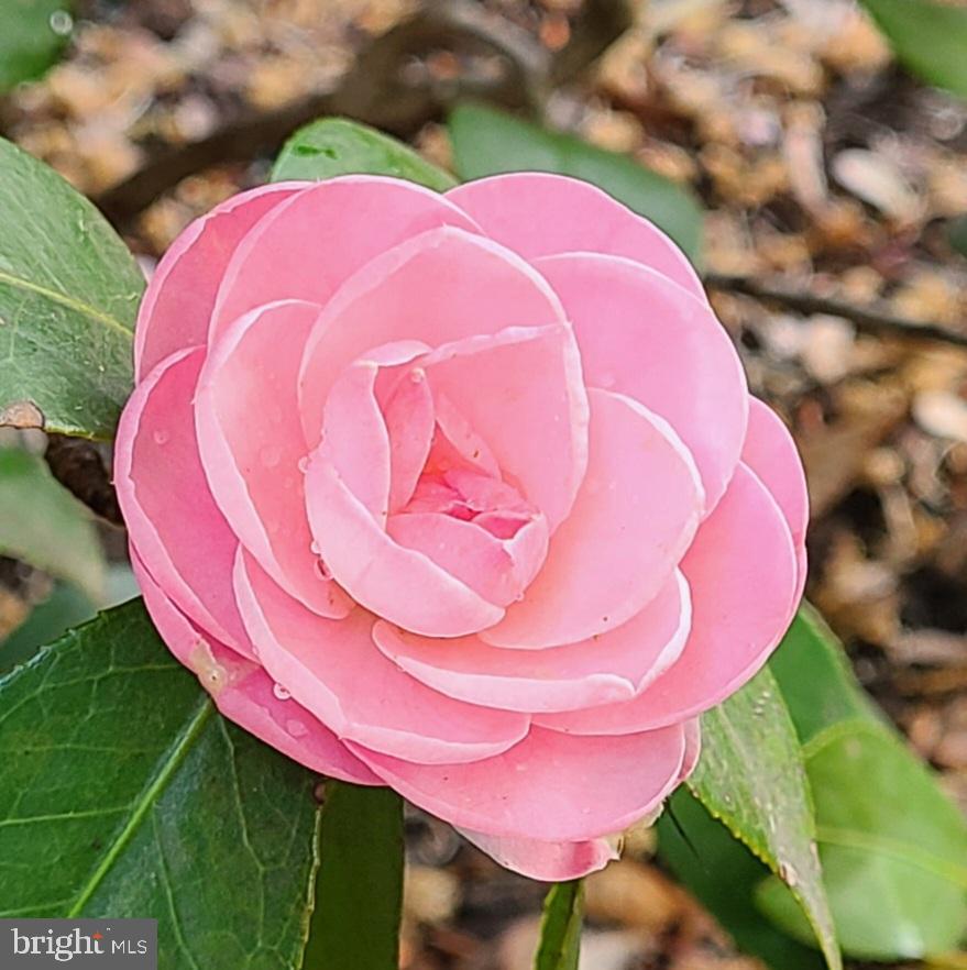 LAKE LOUISE - Residential