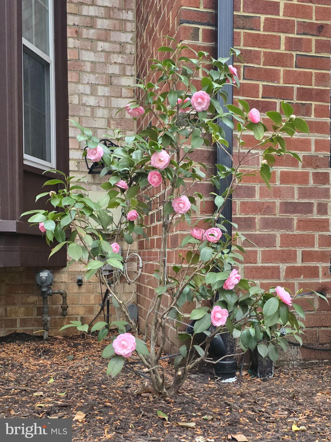 LAKE LOUISE - Residential