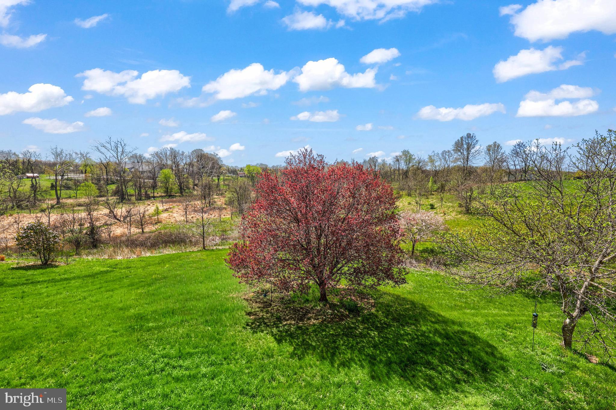 WRIGHT FARM - Residential