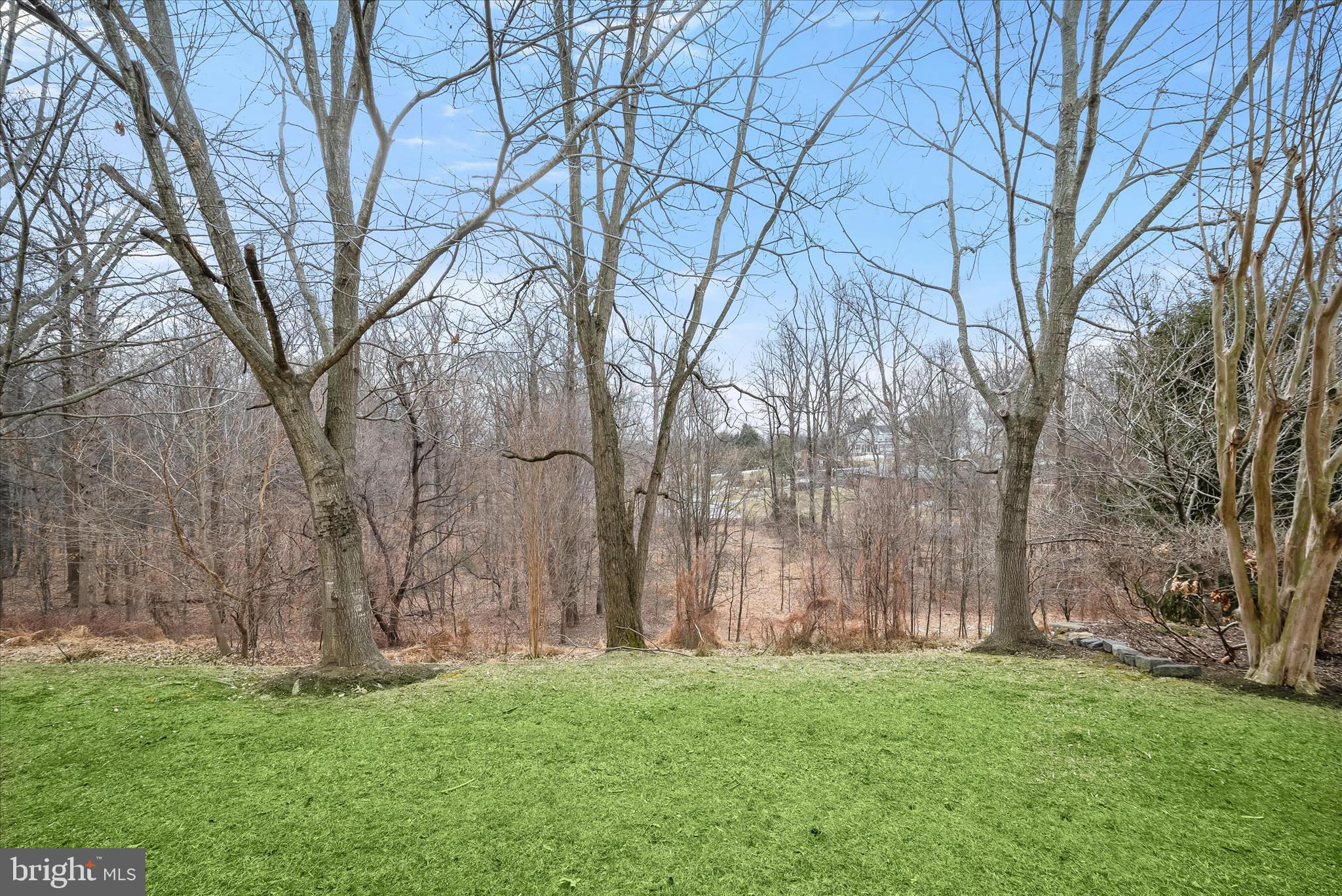 SNOWDEN OVERLOOK - Residential