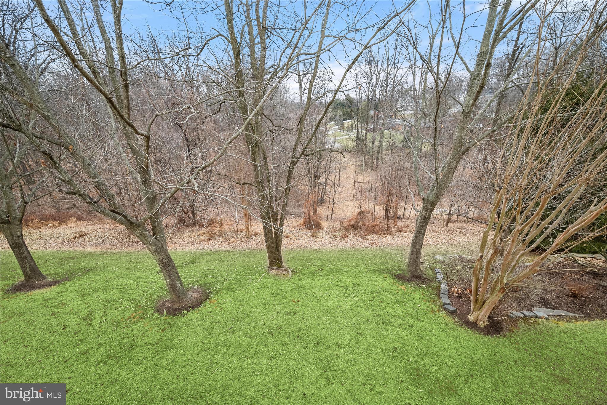 SNOWDEN OVERLOOK - Residential