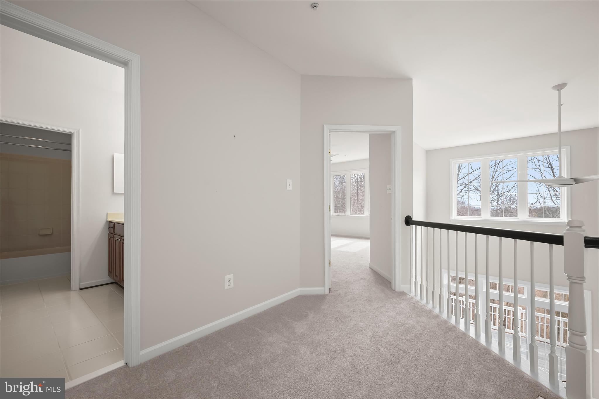 SNOWDEN OVERLOOK - Residential