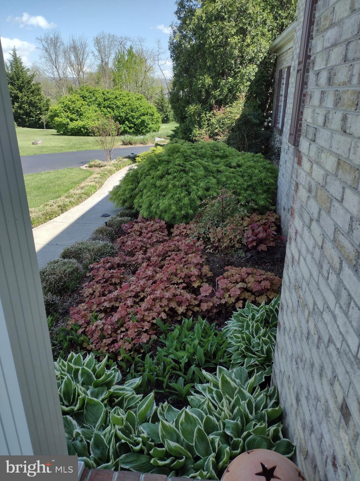 STONE BROOK - Residential