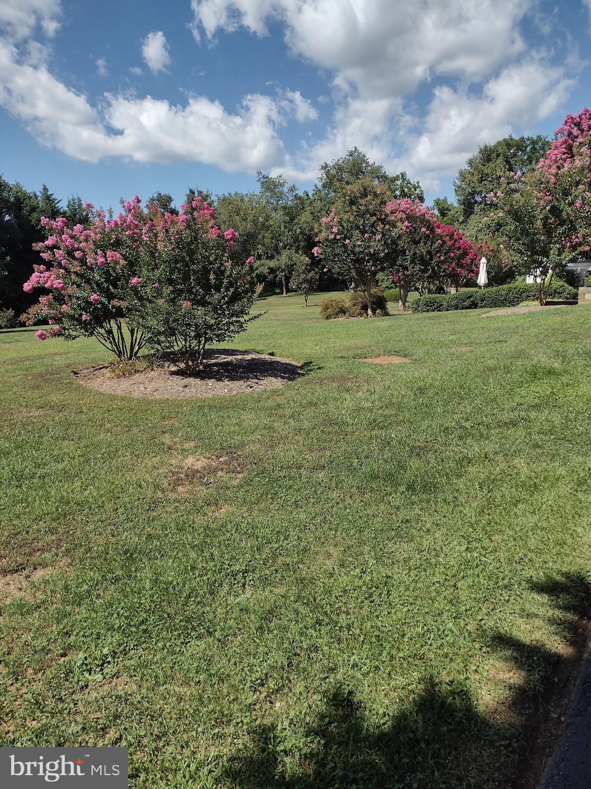 STONE BROOK - Residential
