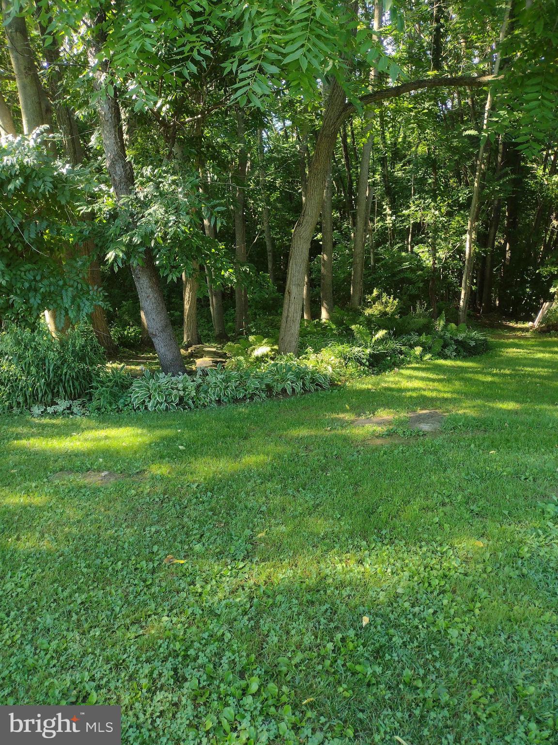 STONE BROOK - Residential