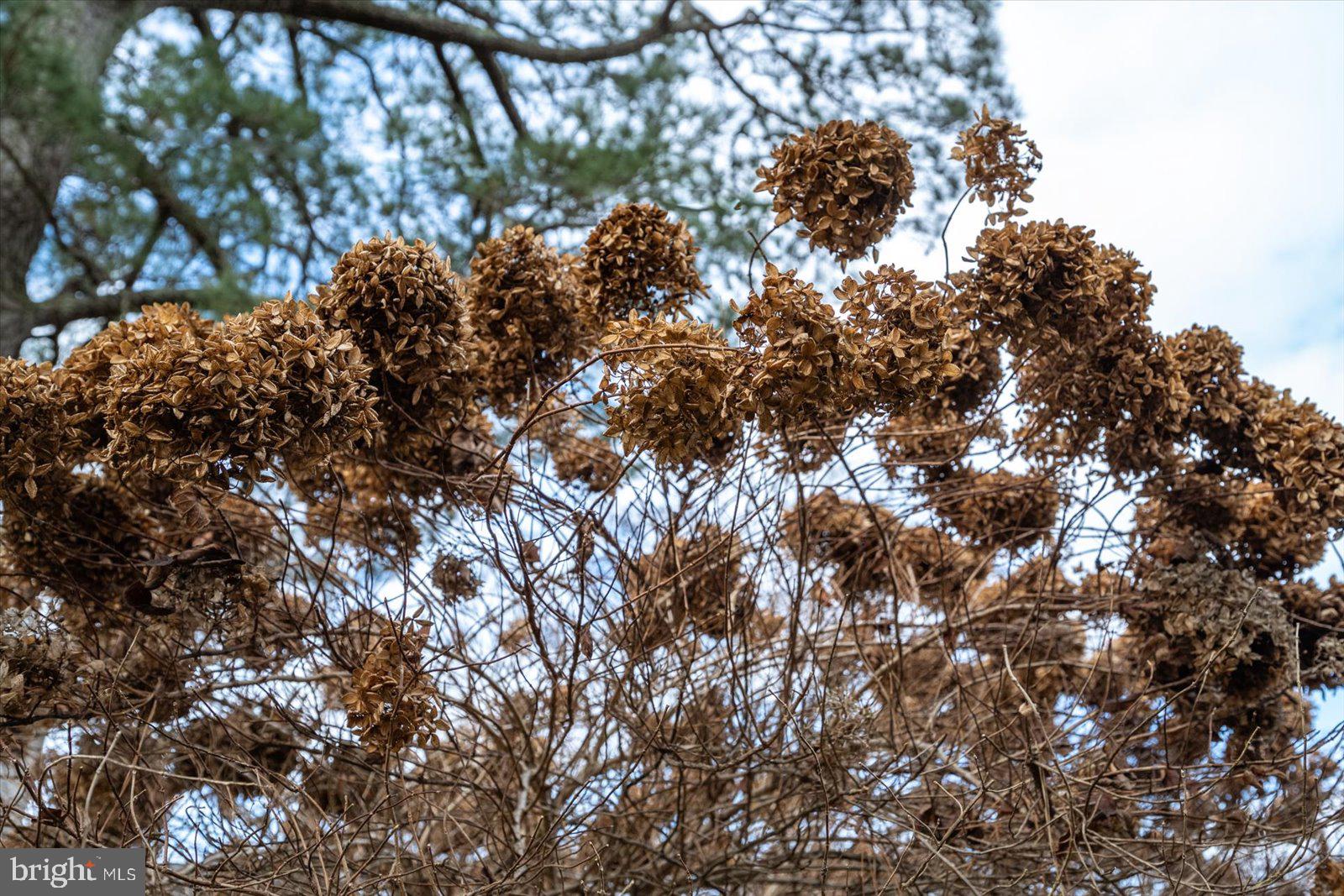 NUTTERS CROSSING - Residential