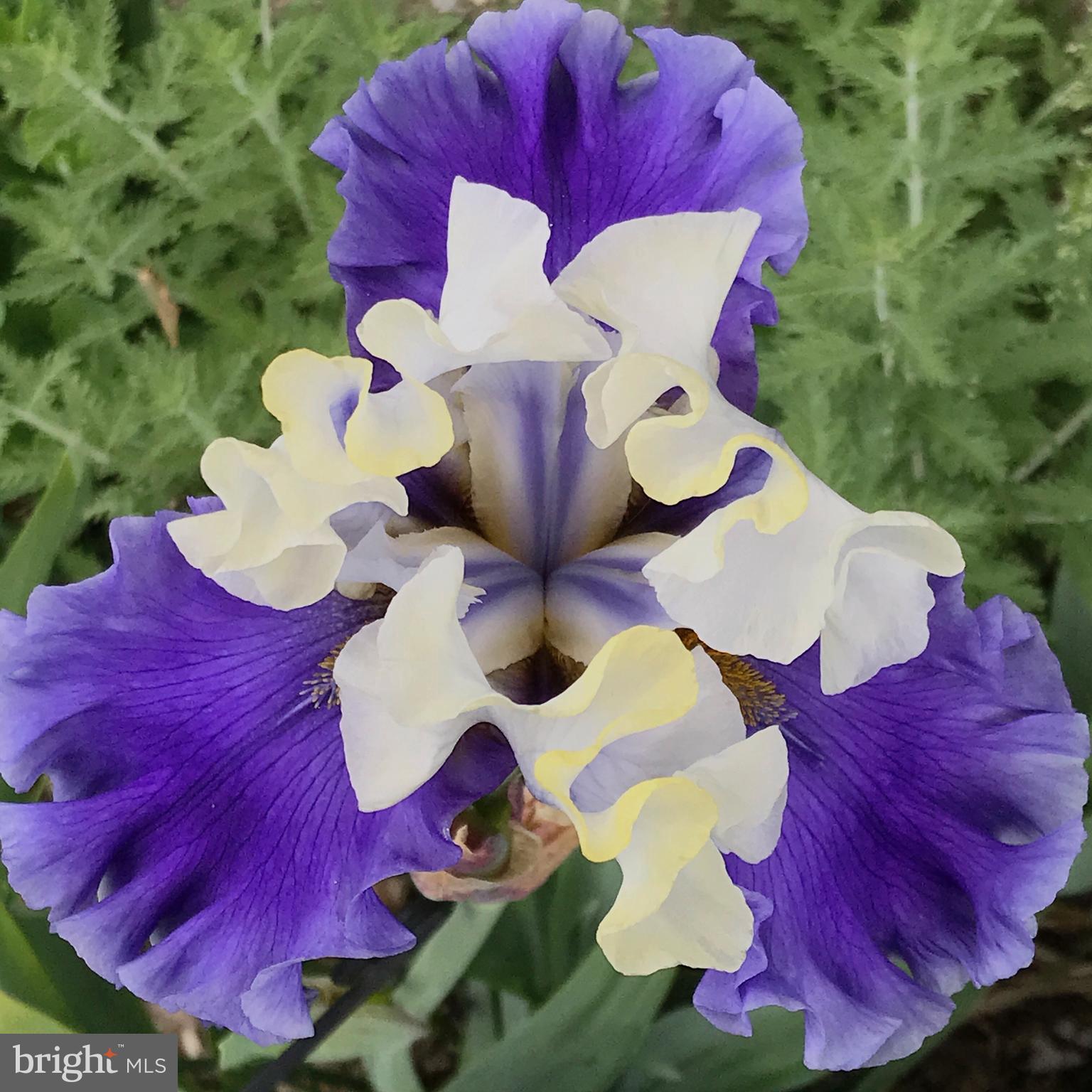 VALLEY VIEW - Residential