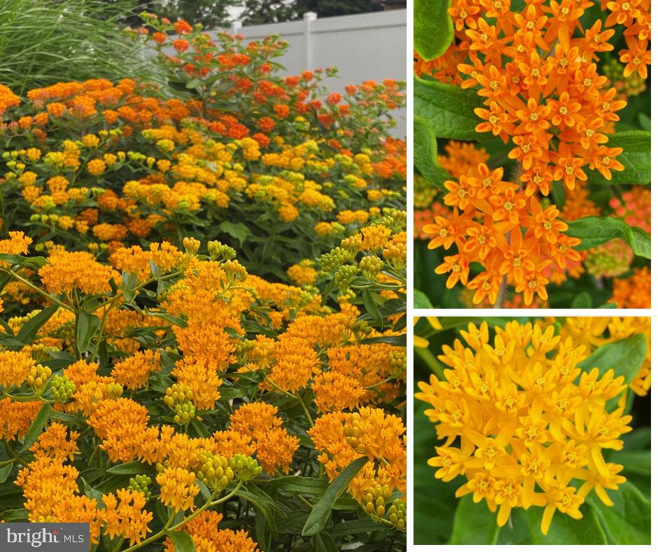 VALLEY VIEW - Residential