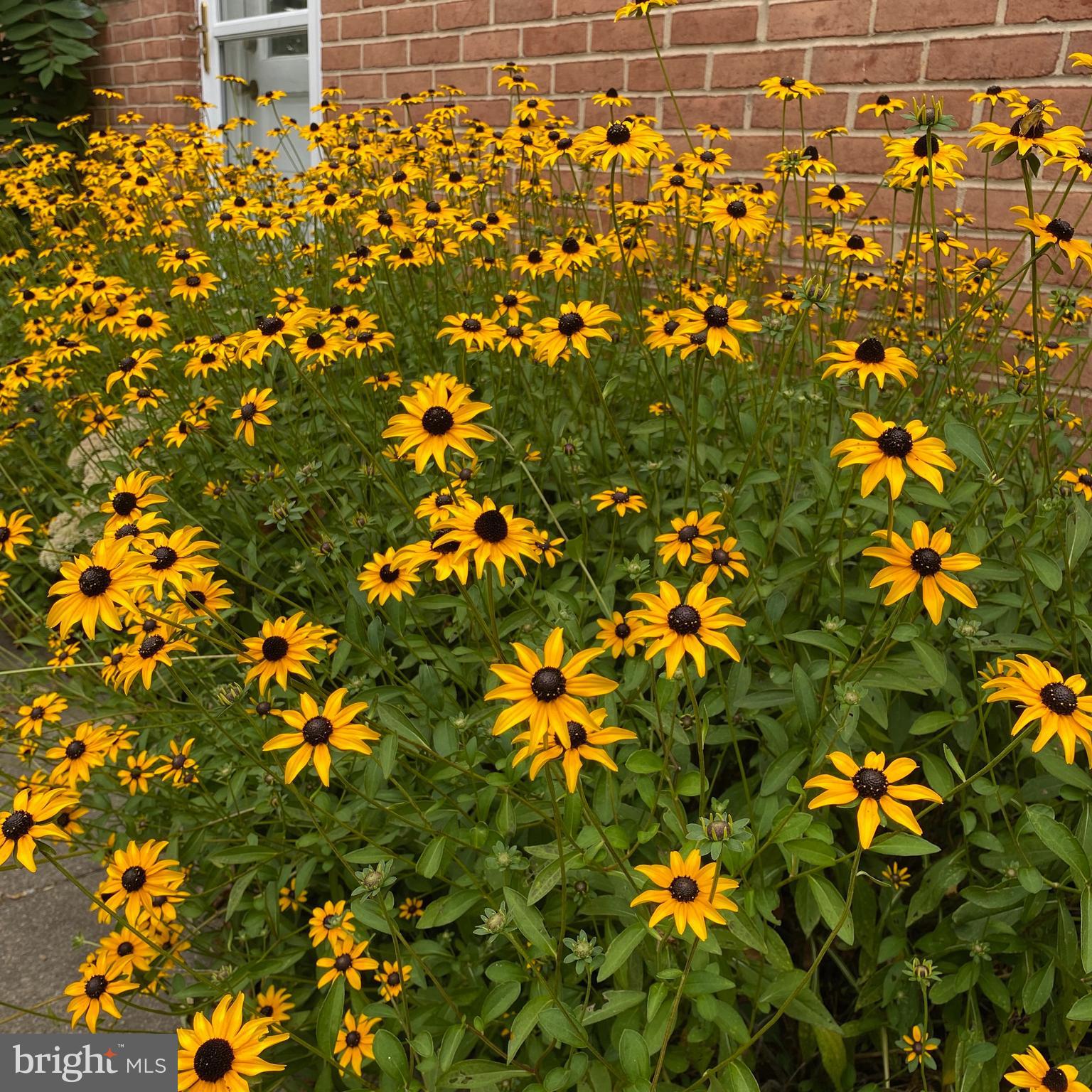 VALLEY VIEW - Residential