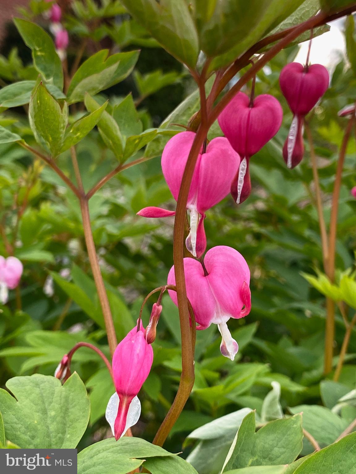 VALLEY VIEW - Residential