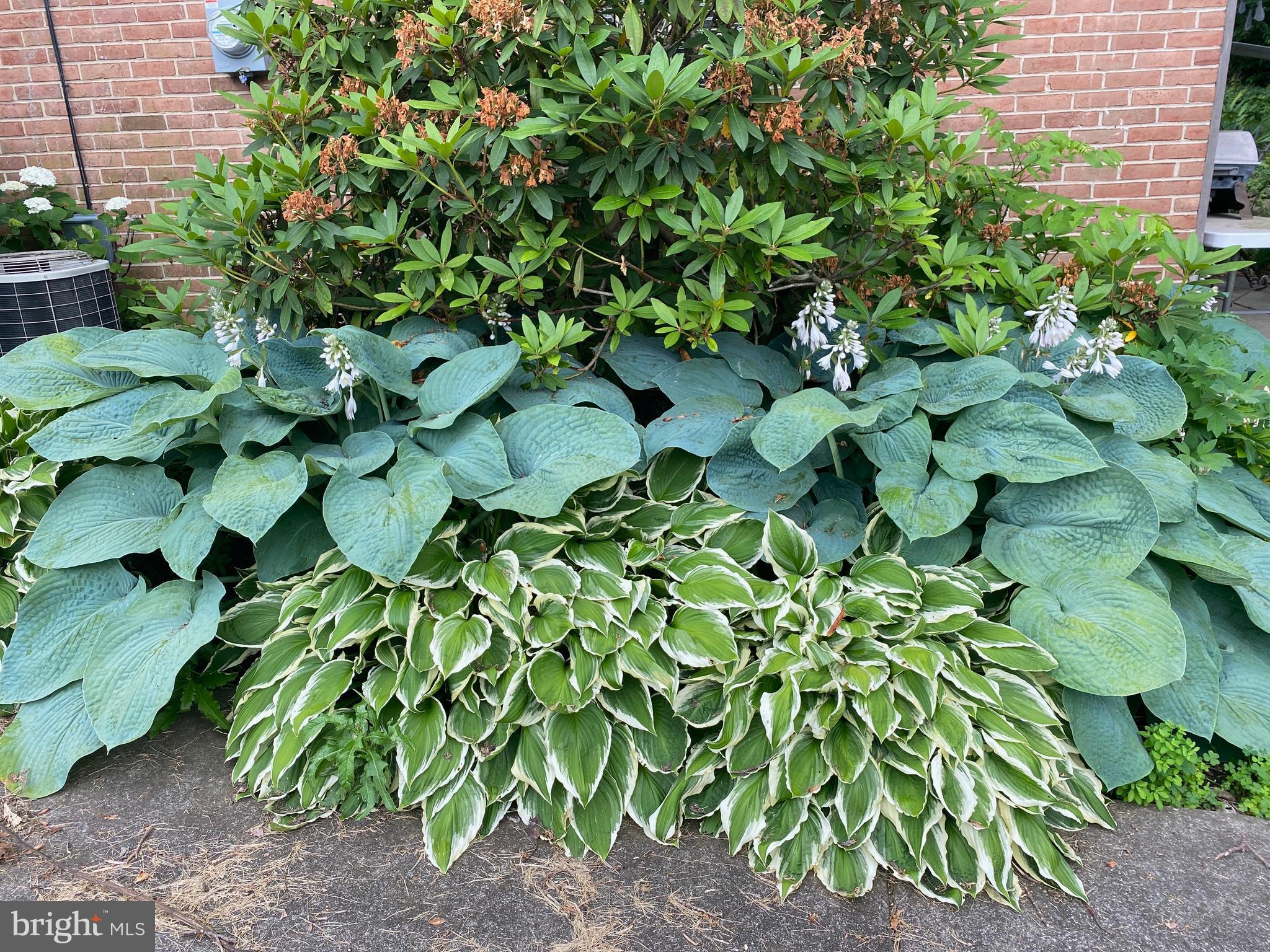 VALLEY VIEW - Residential