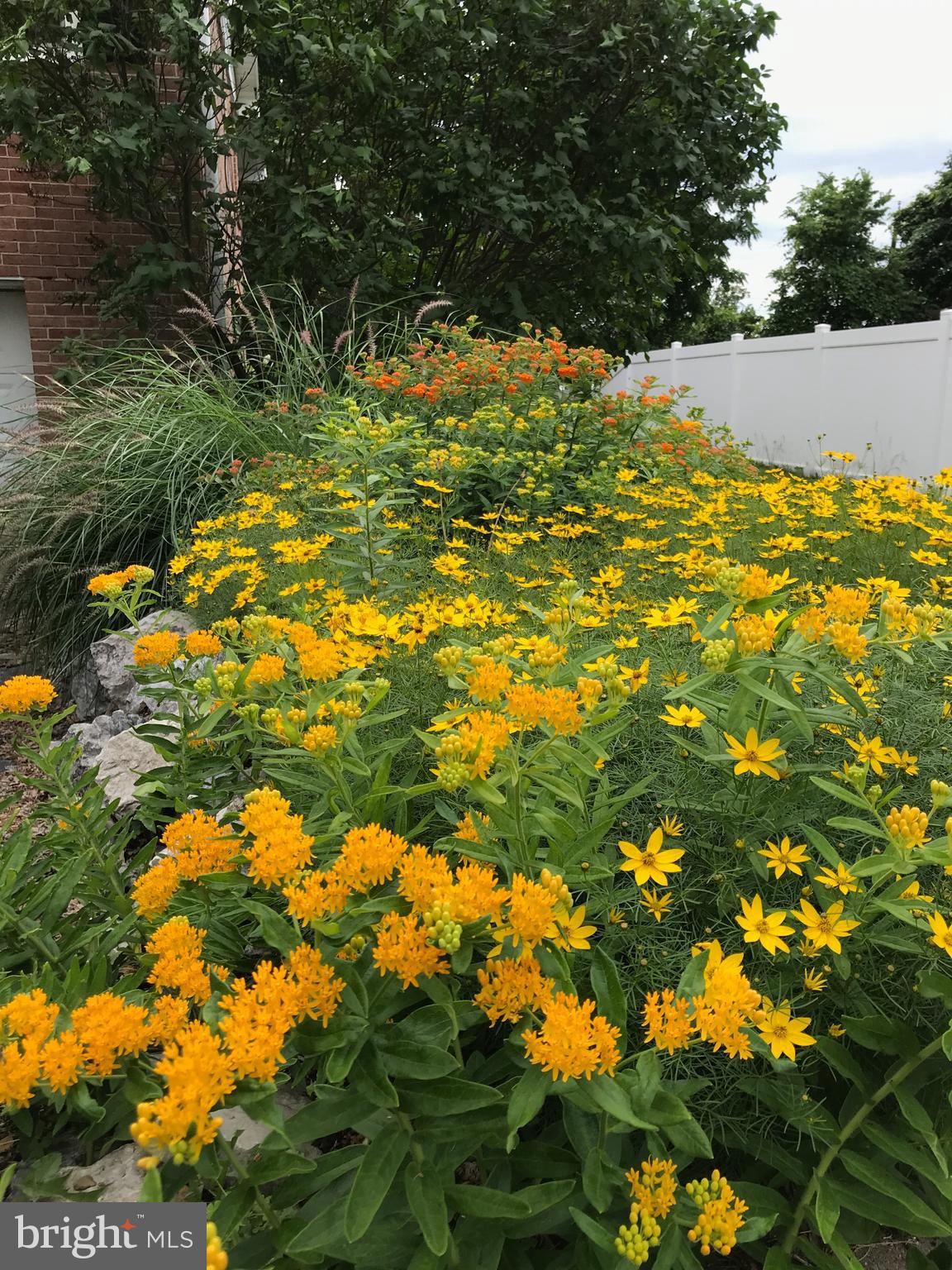 VALLEY VIEW - Residential