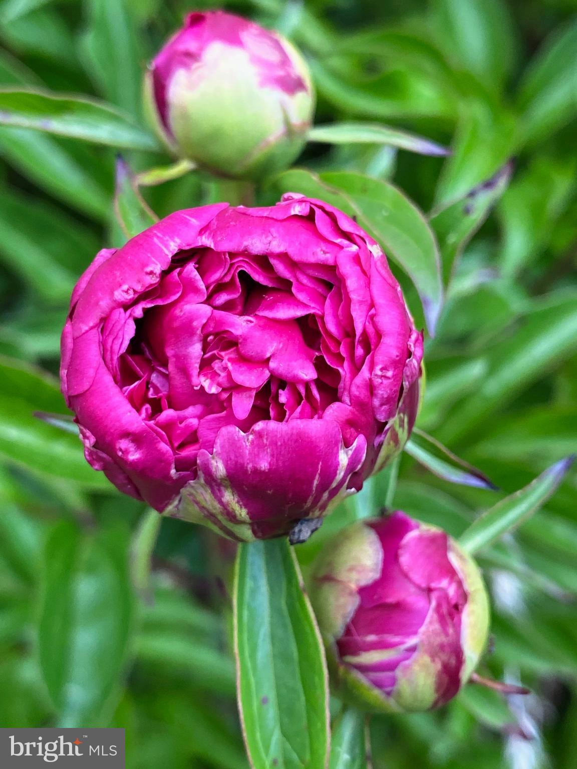 VALLEY VIEW - Residential