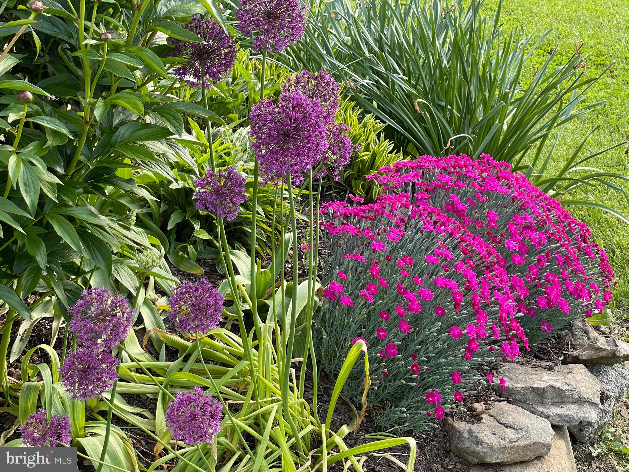 SCHAEFFERS CROSSROADS - Residential