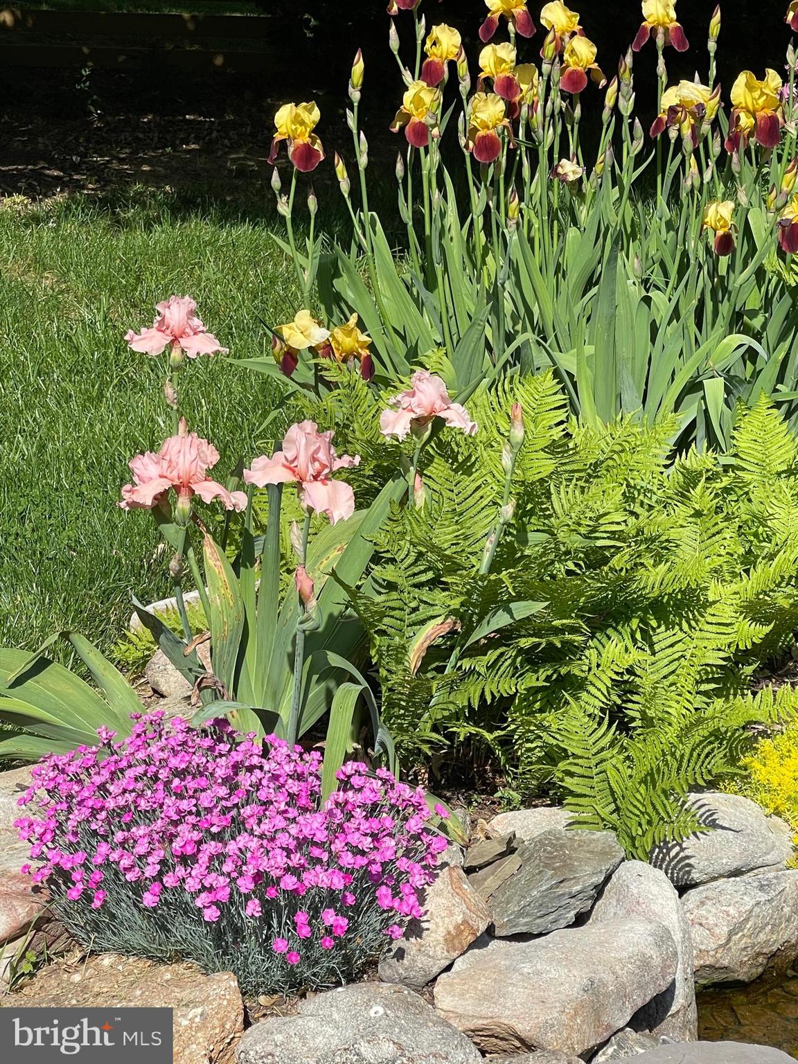 SCHAEFFERS CROSSROADS - Residential