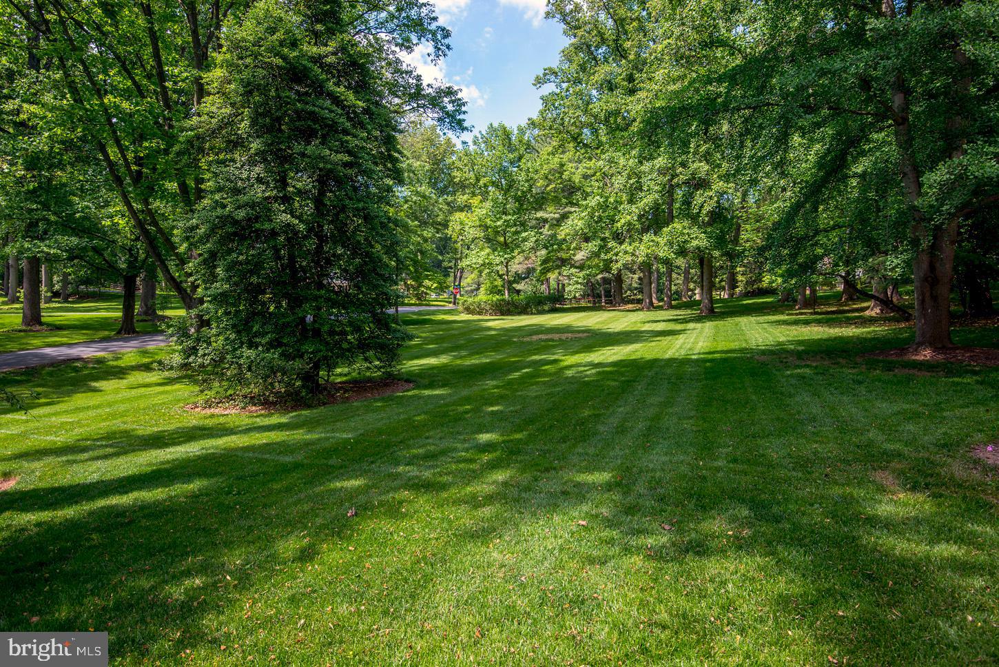 POTOMAC FALLS - Residential