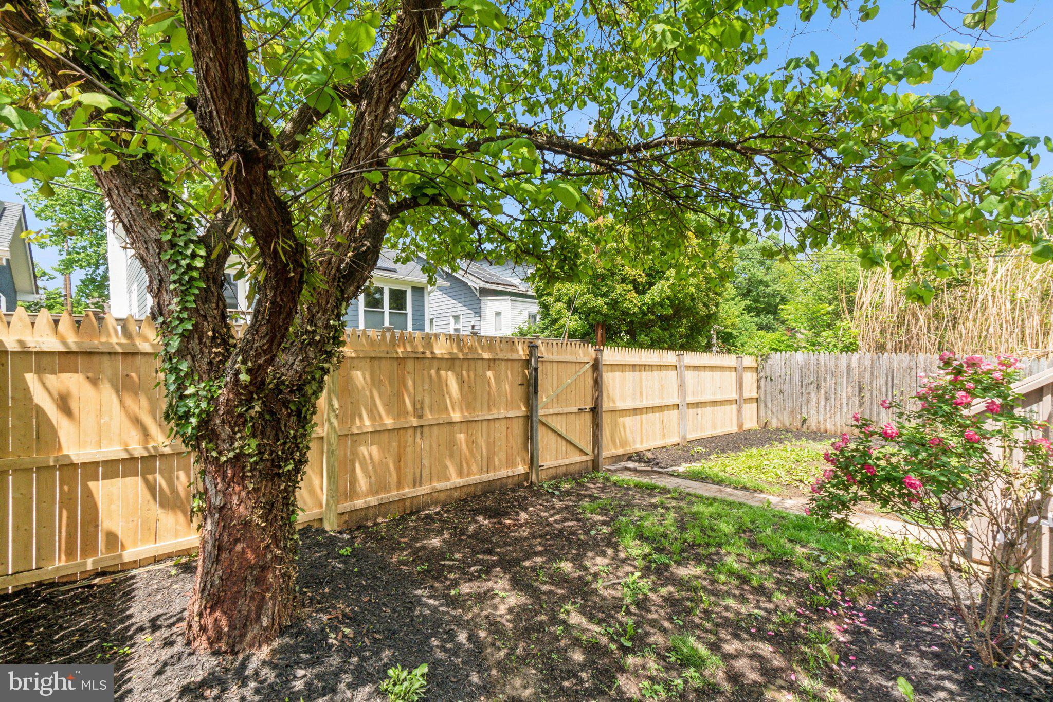 TAKOMA - Residential