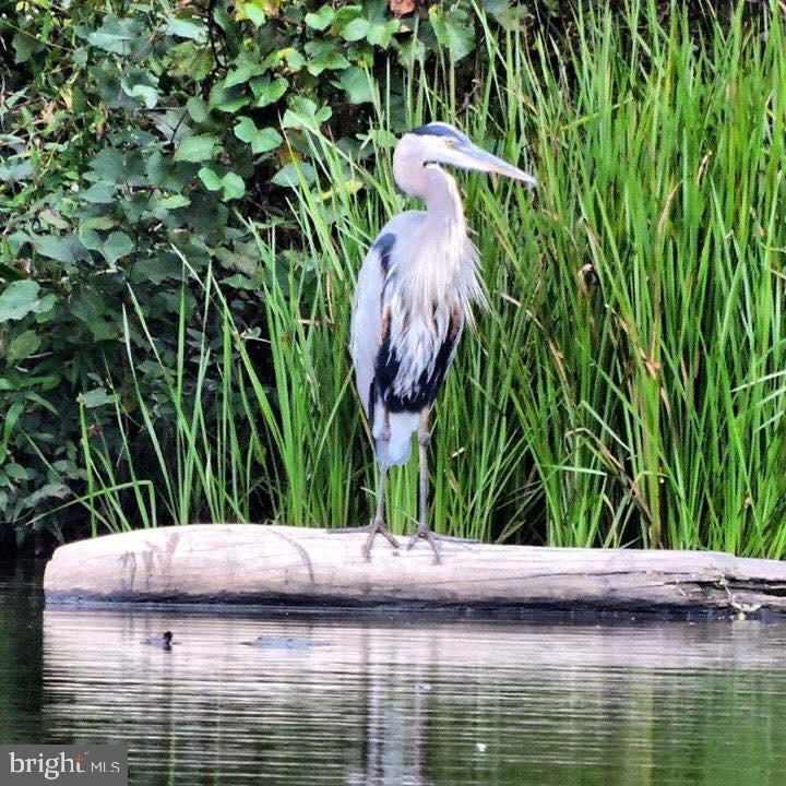 KINGS PARK WEST - Residential