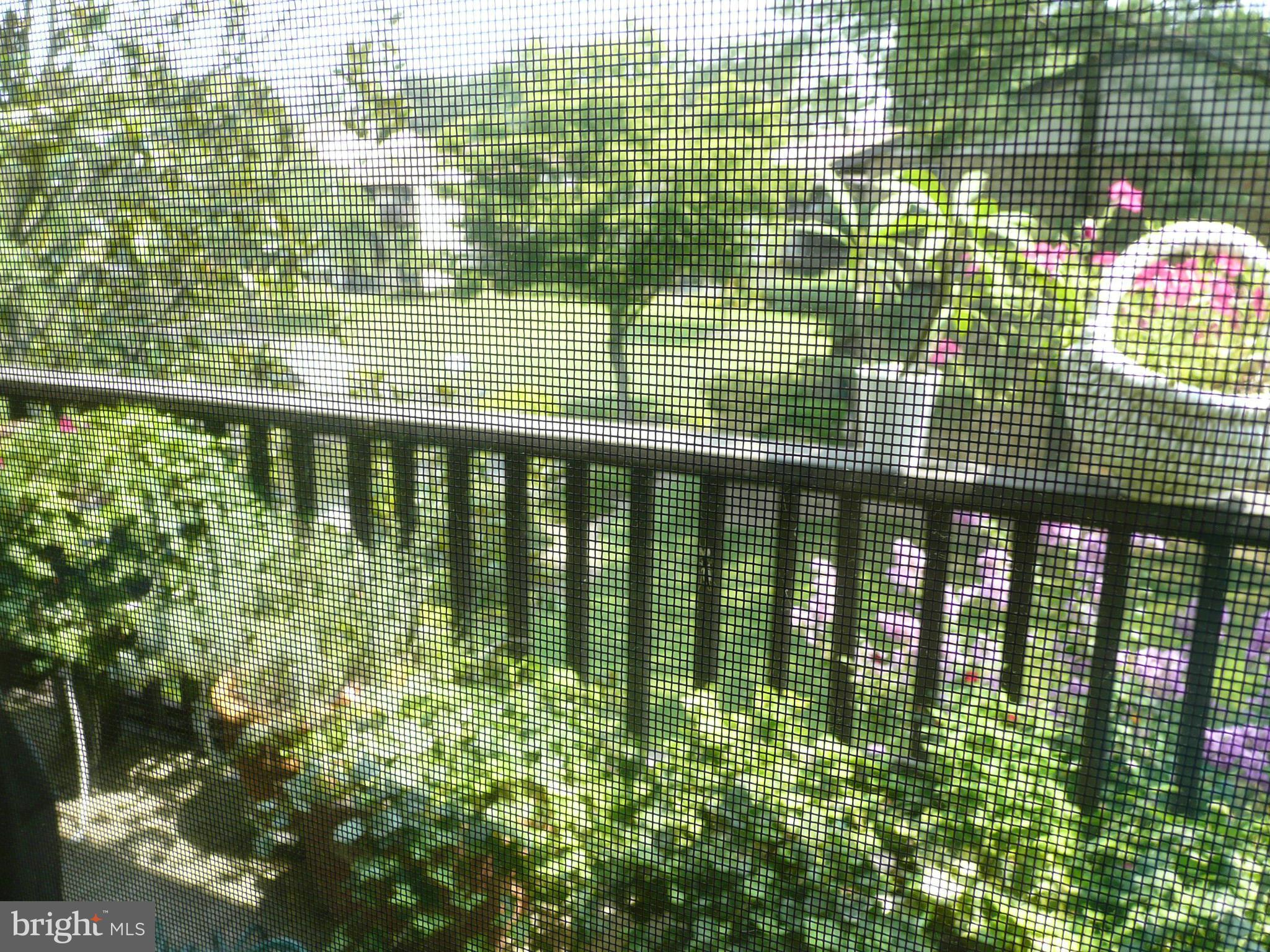 VILLAGE OF WILDE LAKE - Residential