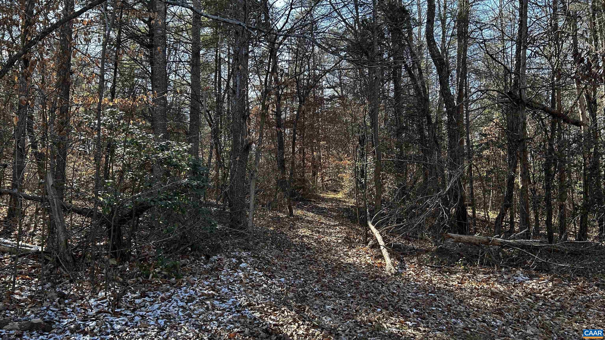 NONE AVAILABLE - Land