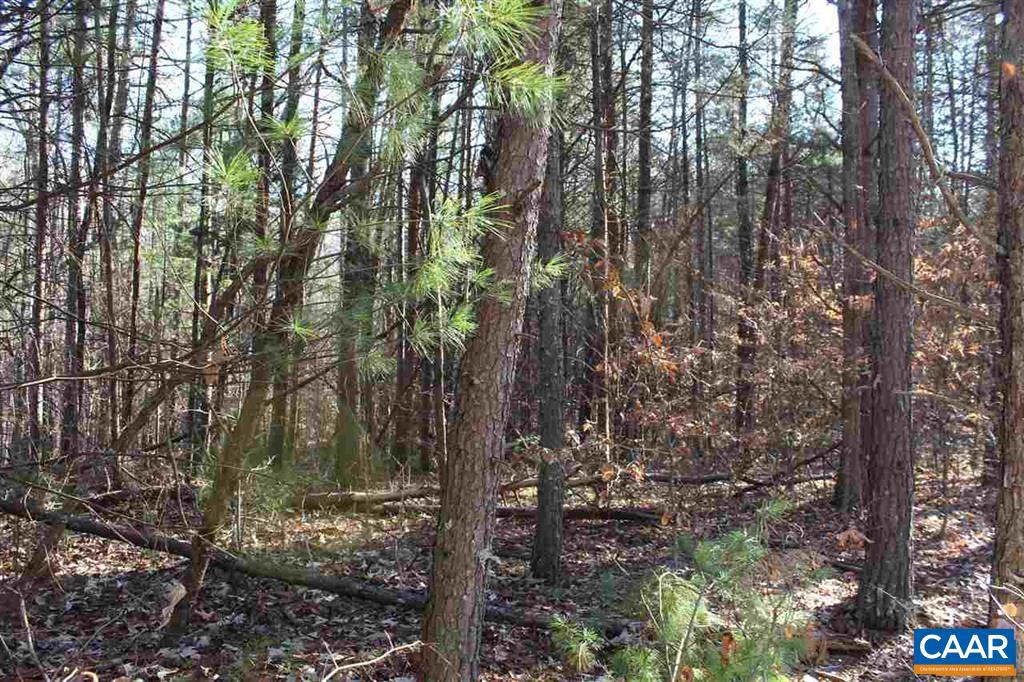 NONE AVAILABLE - Land