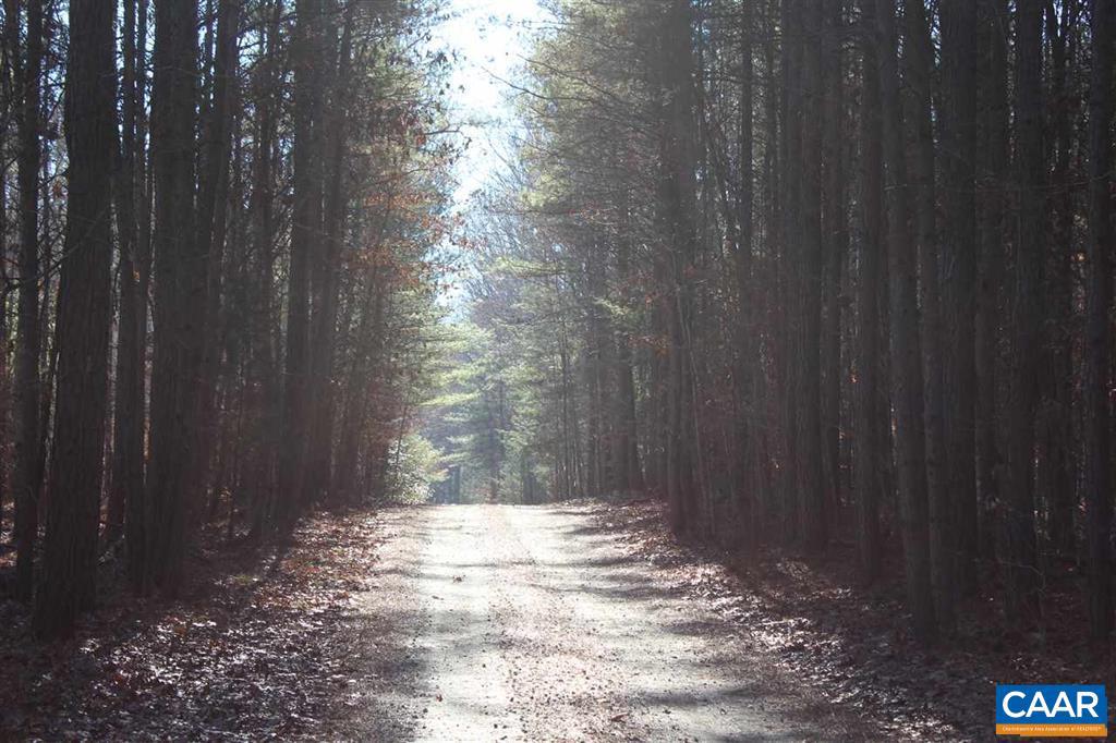 NONE AVAILABLE - Land