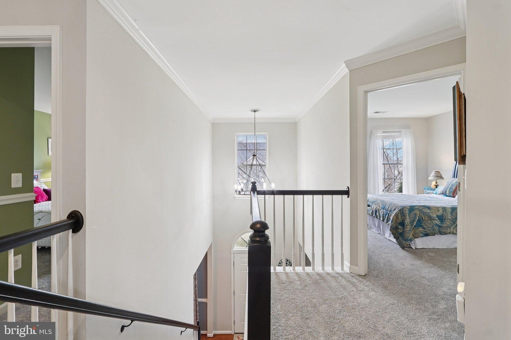 NEW TOWN MEADOWS - Residential