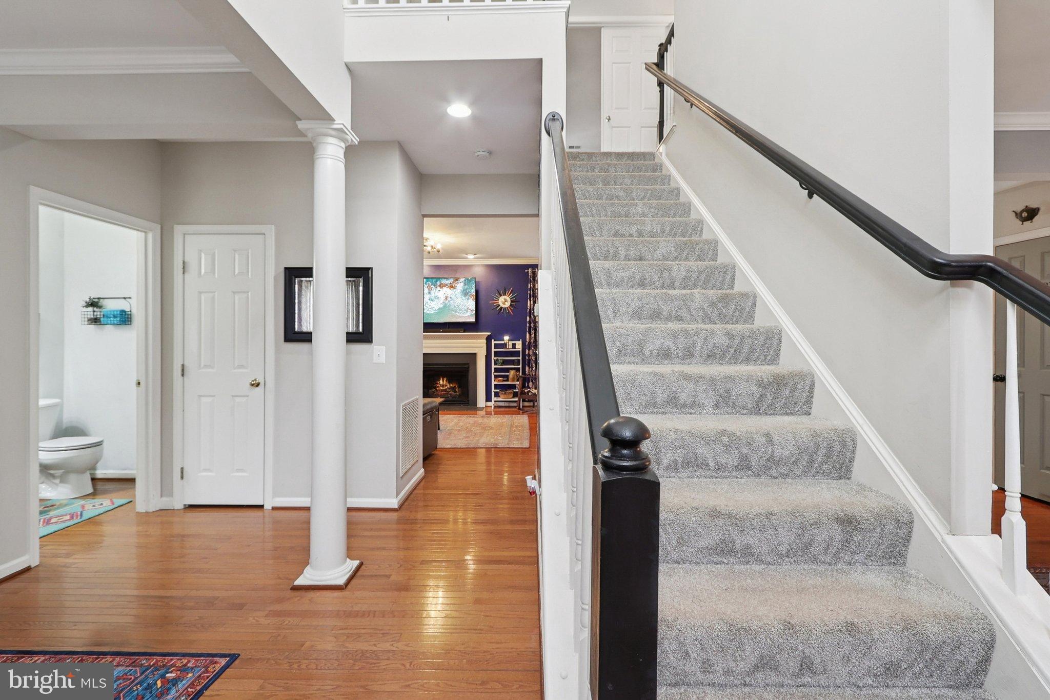 NEW TOWN MEADOWS - Residential