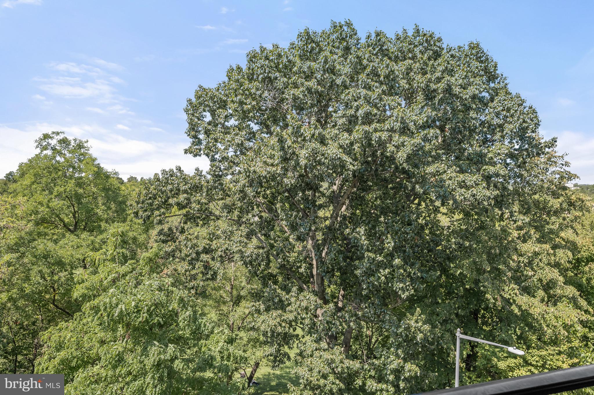 WEST END - Residential