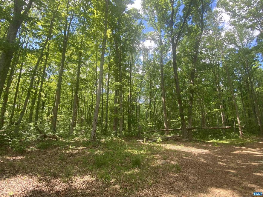 Beautiful 16.02 acre parcel on Oakland Road, Louisa, VA 23093   This parcel is zoned Agricultural and has no restrictions.  This would be a great recreational parcel for hunting and for riding atv's.  This parcel has approximately 4.3 feet of road frontage.  The timber is still in place on this lot and is gorgeous!  No soil work/testing has been done.  Property is across the street from 5212 Oakland Rd, Louisa, VA 23093.