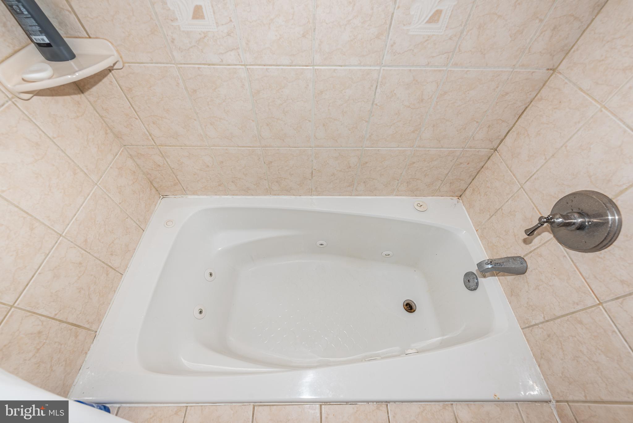 MOUNT VERNON PLACE HISTORIC DISTRICT - Residential