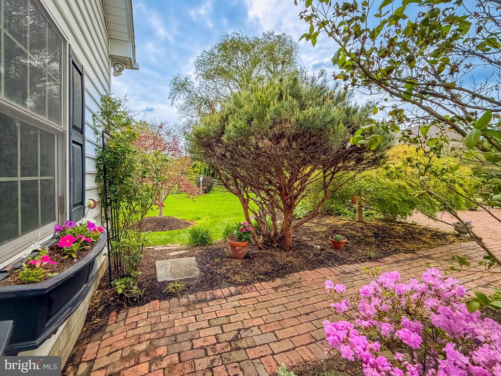 CHESTNUT CREEK - Residential