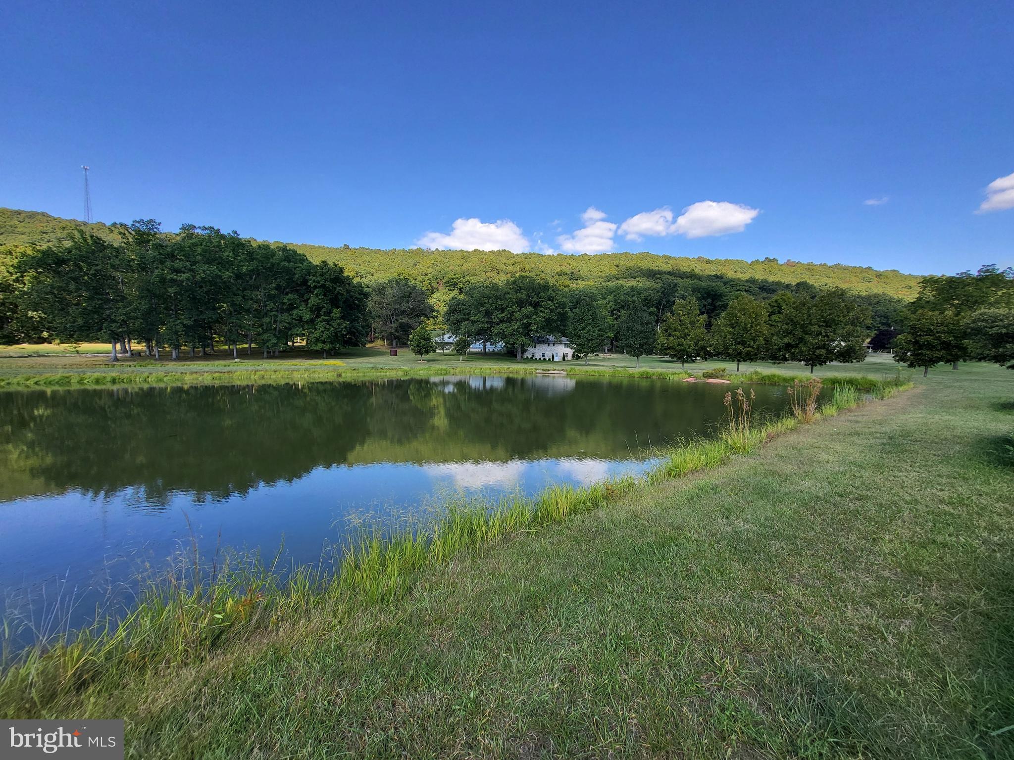 NONE AVAILABLE - Commercial Sale